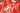 T-Shirt & Shorts Bayern Monaco Special Shirt